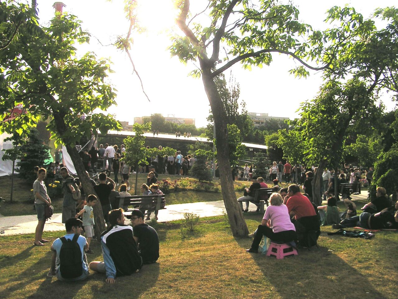 Voluntariatul și ajutorul oferit altora pot încetini declinul cognitiv la vârste înaintate